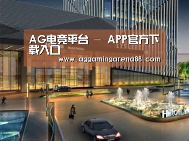 案例展示二(图1)