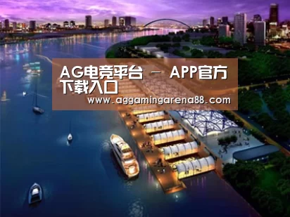 案例展示八