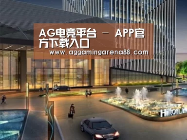 案例展示二