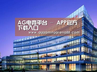 案例展示五