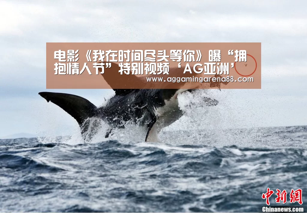 AG竞猜
