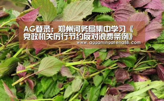 AG登录:郑州河务局集中学习《党政机关厉行节约反对浪费条例》(图2) AG滚球