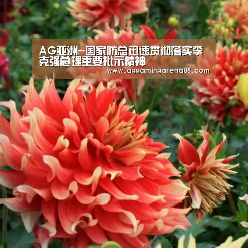 AG亚洲-国家防总迅速贯彻落实李克强总理重要批示精神(图1) AG竞猜
