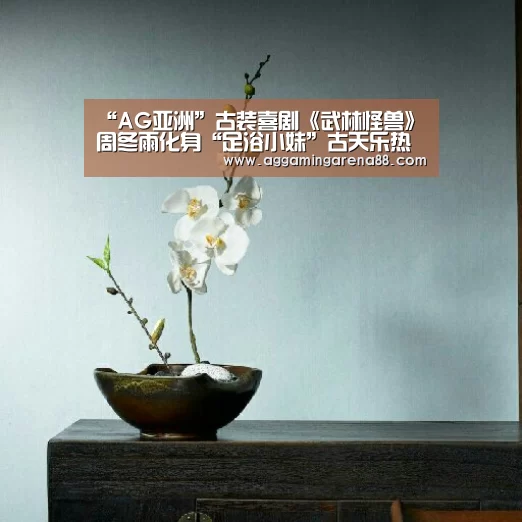 AG竞猜