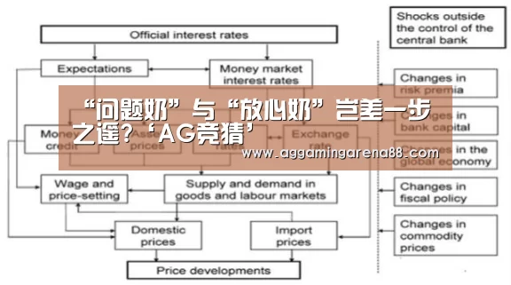AG竞猜