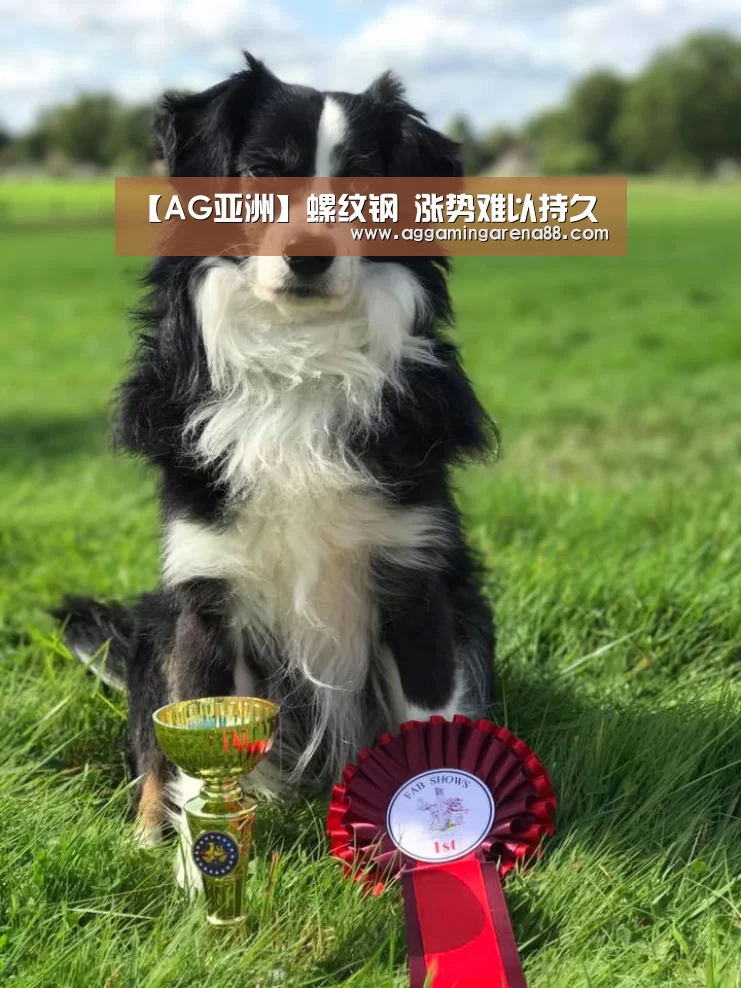 【AG亚洲】螺纹钢 涨势难以持久(图4) AG登录