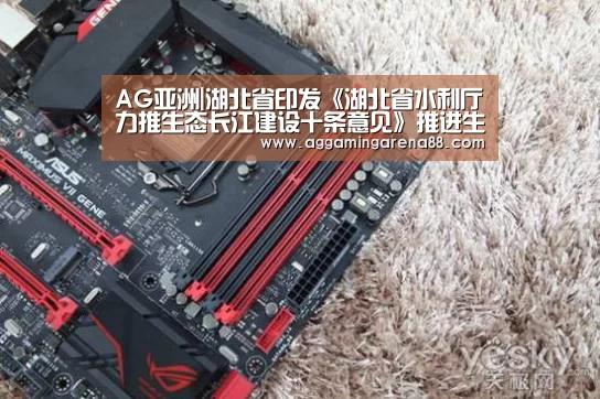 AG滚球