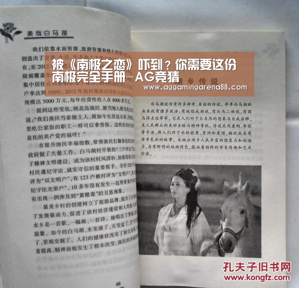 被《南极之恋》吓到?你需要这份南极完全手册-AG竞猜(图1) AG亚洲
