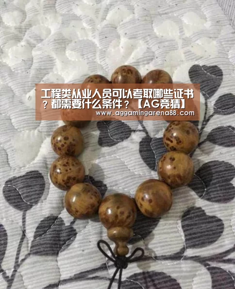 工程类从业人员可以考取哪些证书?都需要什么条件?【AG竞猜】(图2) AG亚洲