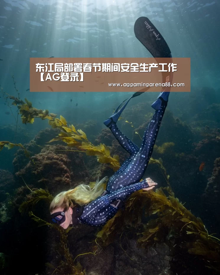 东江局部署春节期间安全生产工作【AG登录】(图4) AG登录