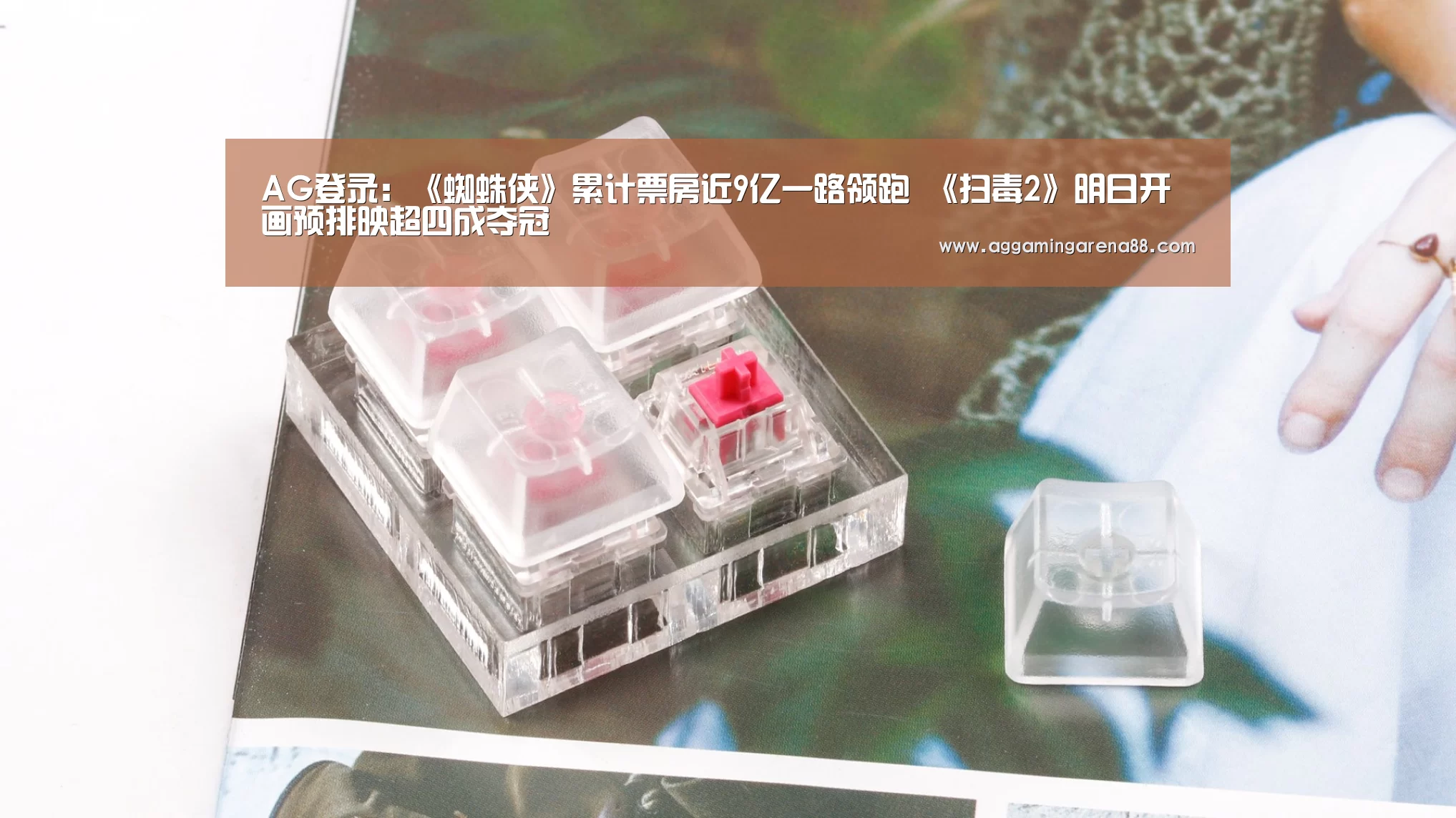 AG登录:《蜘蛛侠》累计票房近9亿一路领跑 《扫毒2》明日开画预排映超四成夺冠(图1) AG滚球