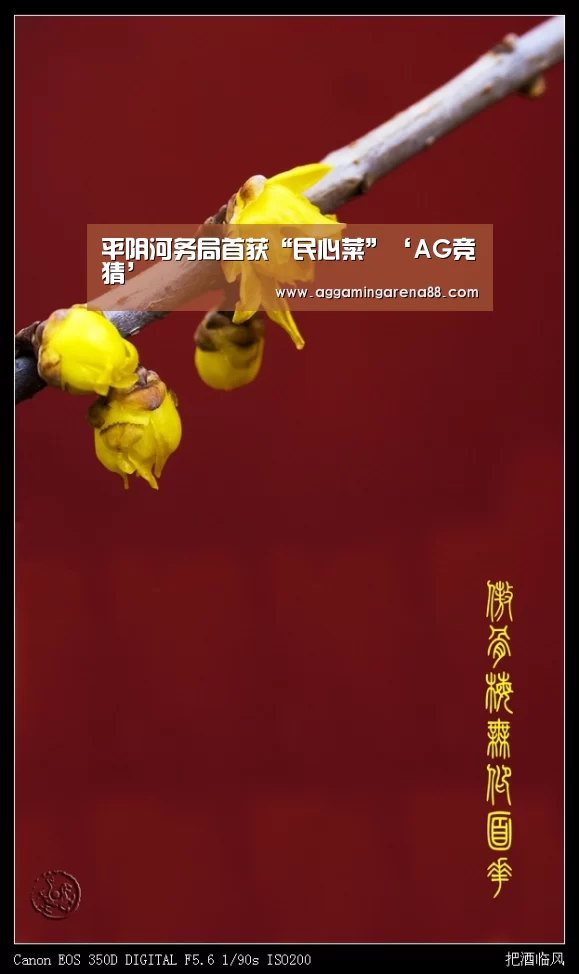 平阴河务局首获“民心菜”‘AG竞猜’(图3) AG竞猜