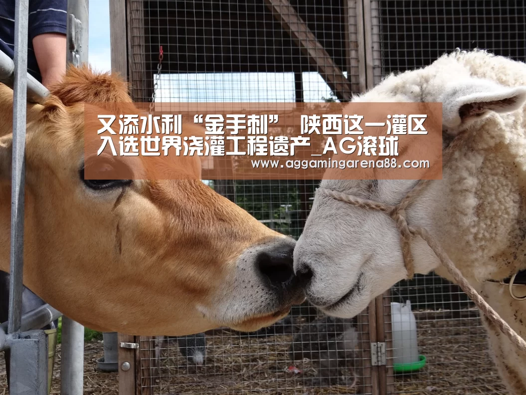 AG亚洲